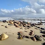4 Person In Blåvand