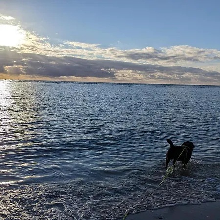 度假居 4 Person In 布拉万德