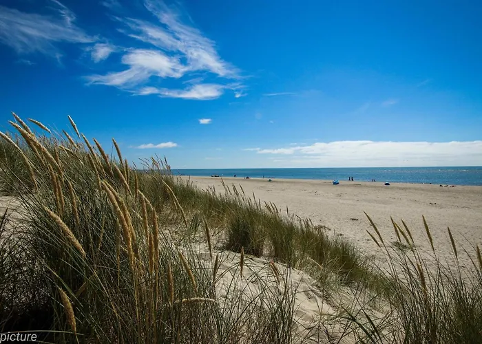 4 Person In Vakantiehuis Blåvand