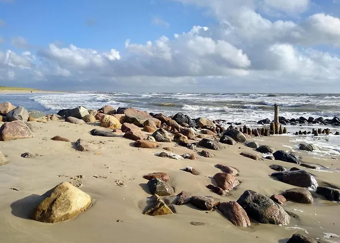 4 Person In Blåvand