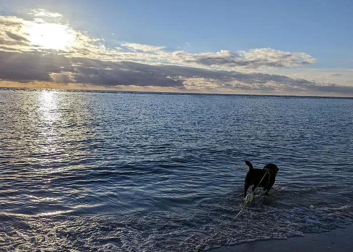 Vakantiehuis 4 Person In Blåvand